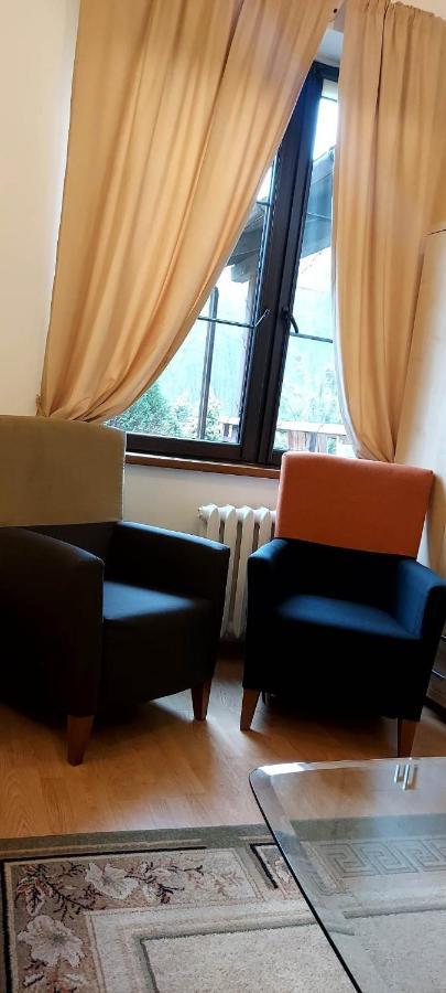 Zloty Jelen - Restauracja I Dom Goscinny Potok Zloty エクステリア 写真